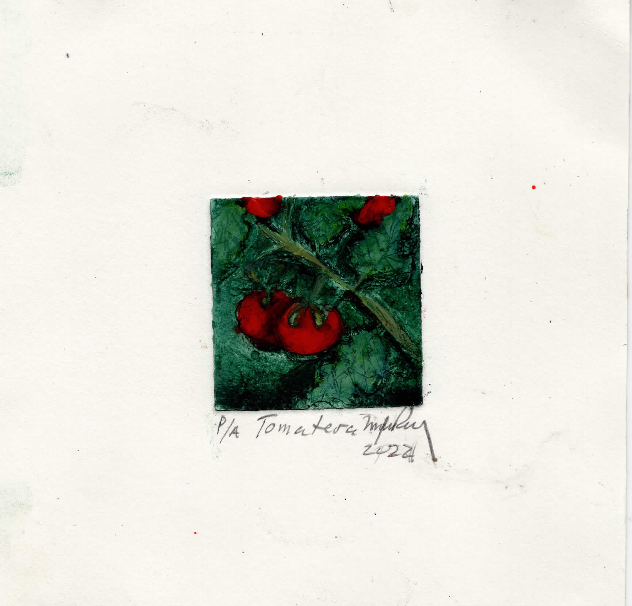 Tomateras